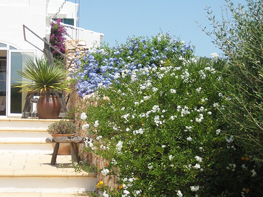 Menorca garden design