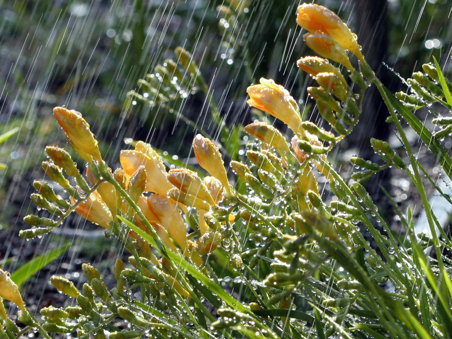 Menorca irrigation systems